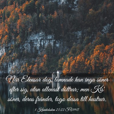 Picture 03 - 1 Krönikeboken 23:22 SV1917 - När Eleasar dog, lämnade han inga söner efter - Bible Verse Picture