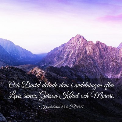 Picture 03 - 1 Krönikeboken 23:6 SV1917 - Och David delade dem i avdelningar efter Levis - Bible Verse Picture
