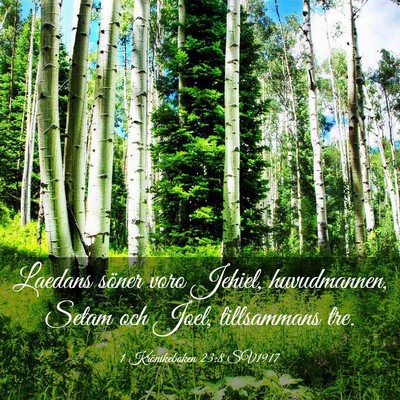 Picture 03 - 1 Krönikeboken 23:8 SV1917 - Laedans söner voro Jehiel, huvudmannen, Setam - Bible Verse Picture