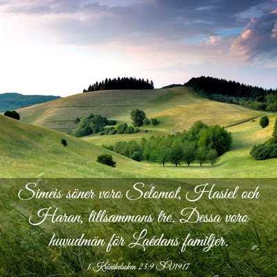 Picture 03 - 1 Krönikeboken 23:9 SV1917 - Simeis söner voro Selomot, Hasiel och Haran, - Bible Verse Picture