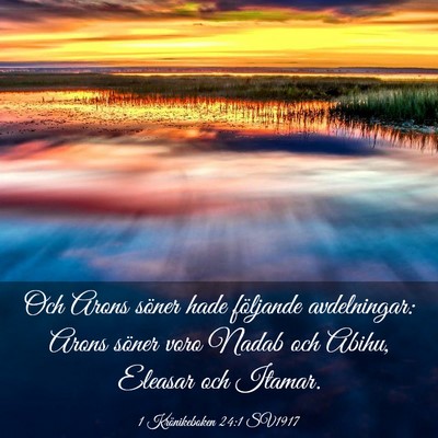 Picture 03 - 1 Krönikeboken 24:1 SV1917 - Och Arons söner hade följande avdelningar: - Bible Verse Picture