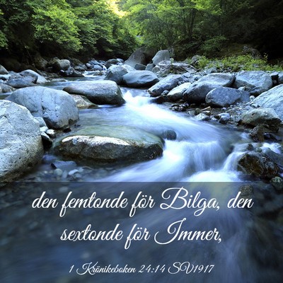 Picture 03 - 1 Krönikeboken 24:14 SV1917 - den femtonde för Bilga, den sextonde för - Bible Verse Picture
