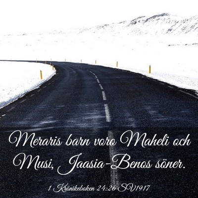 Picture 03 - 1 Krönikeboken 24:26 SV1917 - Meraris barn voro Maheli och Musi, Jaasia-Benos - Bible Verse Picture