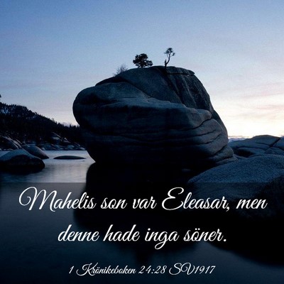 Picture 03 - 1 Krönikeboken 24:28 SV1917 - Mahelis son var Eleasar, men denne hade inga - Bible Verse Picture