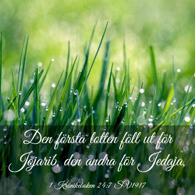 Picture 03 - 1 Krönikeboken 24:7 SV1917 - Den första lotten föll ut för Jojarib, den - Bible Verse Picture