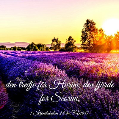 Picture 03 - 1 Krönikeboken 24:8 SV1917 - den tredje för Harim, den fjärde för - Bible Verse Picture