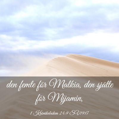 Picture 03 - 1 Krönikeboken 24:9 SV1917 - den femte för Malkia, den sjätte för - Bible Verse Picture