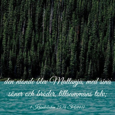 Picture 03 - 1 Krönikeboken 25:16 SV1917 - den nionde blev Mattanja, med sina söner och - Bible Verse Picture