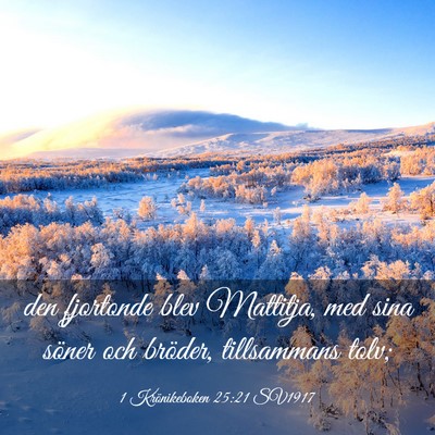 Picture 03 - 1 Krönikeboken 25:21 SV1917 - den fjortonde blev Mattitja, med sina söner och - Bible Verse Picture