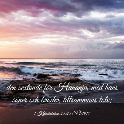 Picture 03 - 1 Krönikeboken 25:23 SV1917 - den sextonde för Hananja, med hans söner och - Bible Verse Picture