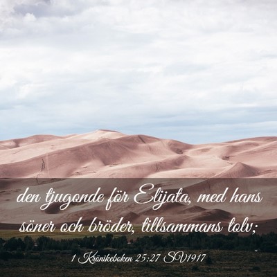 Picture 03 - 1 Krönikeboken 25:27 SV1917 - den tjugonde för Elijata, med hans söner och - Bible Verse Picture