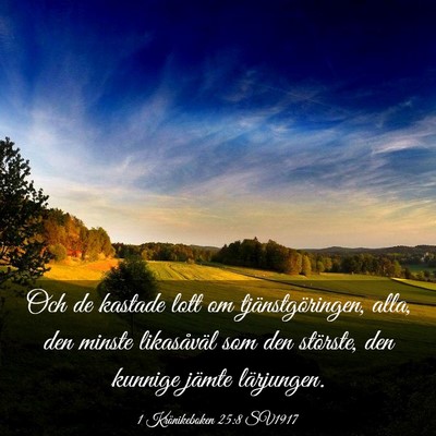 Picture 03 - 1 Krönikeboken 25:8 SV1917 - Och de kastade lott om tjänstgöringen, alla, - Bible Verse Picture