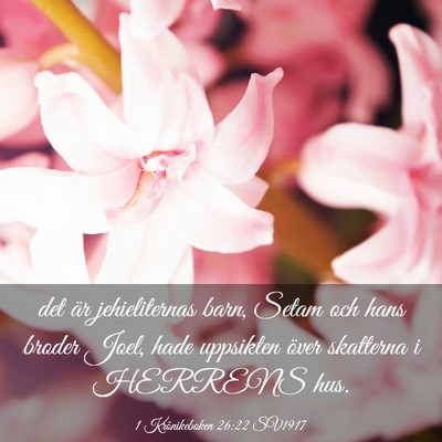 Picture 03 - 1 Krönikeboken 26:22 SV1917 - det är jehieliternas barn, Setam och hans broder - Bible Verse Picture