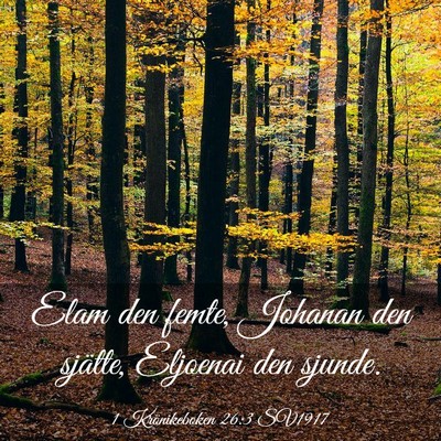 Picture 03 - 1 Krönikeboken 26:3 SV1917 - Elam den femte, Johanan den sjätte, Eljoenai den - Bible Verse Picture