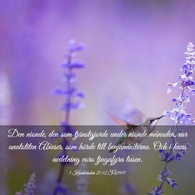 Picture 03 - 1 Krönikeboken 27:12 SV1917 - Den nionde, den som tjänstgjorde under nionde - Bible Verse Picture
