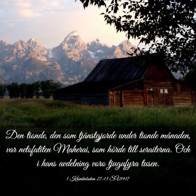 Picture 03 - 1 Krönikeboken 27:13 SV1917 - Den tionde, den som tjänstgjorde under tionde - Bible Verse Picture