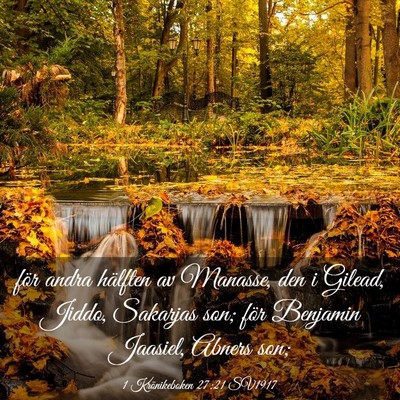 Picture 03 - 1 Krönikeboken 27:21 SV1917 - för andra hälften av Manasse, den i Gilead, - Bible Verse Picture