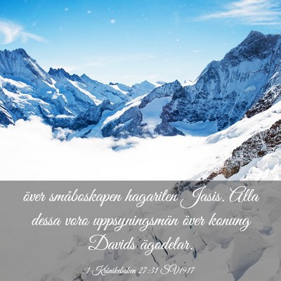 Picture 03 - 1 Krönikeboken 27:31 SV1917 - över småboskapen hagariten Jasis. Alla dessa - Bible Verse Picture