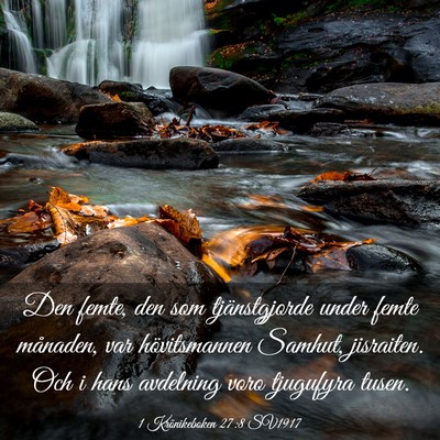 Picture 03 - 1 Krönikeboken 27:8 SV1917 - Den femte, den som tjänstgjorde under femte - Bible Verse Picture