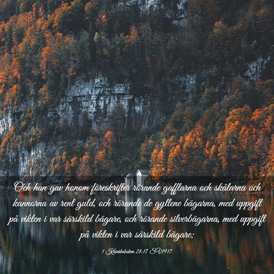Picture 03 - 1 Krönikeboken 28:17 SV1917 - Och han gav honom föreskrifter rörande - Bible Verse Picture