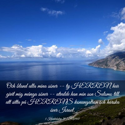 Picture 03 - 1 Krönikeboken 28:5 SV1917 - Och bland alla mina söner -- ty HERREN har givit - Bible Verse Picture