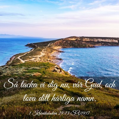 Picture 03 - 1 Krönikeboken 29:13 SV1917 - Så tacka vi dig nu, vår Gud, och lova ditt - Bible Verse Picture