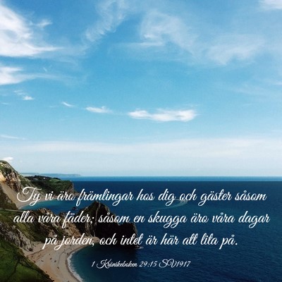 Picture 03 - 1 Krönikeboken 29:15 SV1917 - Ty vi äro främlingar hos dig och gäster såsom - Bible Verse Picture