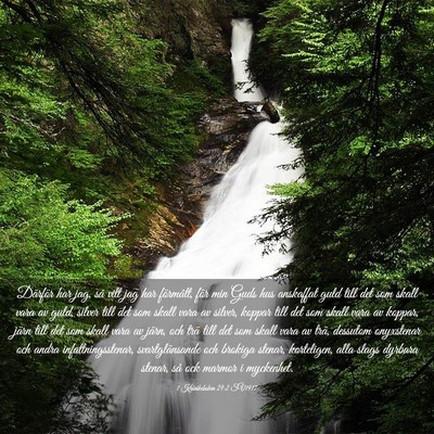 Picture 03 - 1 Krönikeboken 29:2 SV1917 - Därför har jag, så vitt jag har förmått, - Bible Verse Picture
