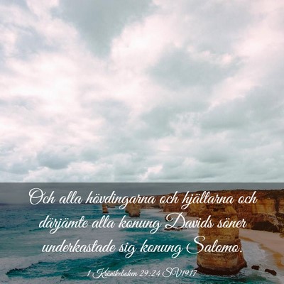 Picture 03 - 1 Krönikeboken 29:24 SV1917 - Och alla hövdingarna och hjältarna och - Bible Verse Picture