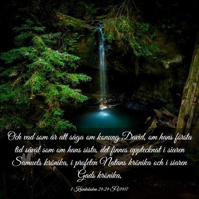 Picture 03 - 1 Krönikeboken 29:29 SV1917 - Och vad som är att säga om konung David, om - Bible Verse Picture
