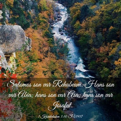 Picture 03 - 1 Krönikeboken 3:10 SV1917 - Salomos son var Rehabeam. Hans son var Abia; hans - Bible Verse Picture