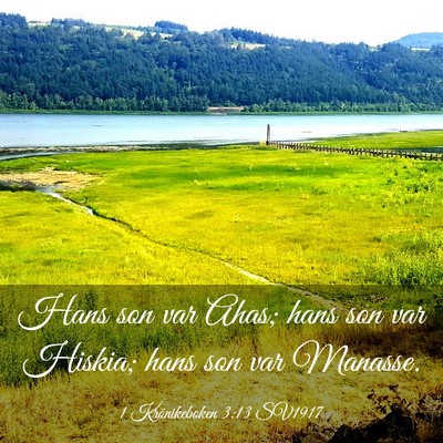 Picture 03 - 1 Krönikeboken 3:13 SV1917 - Hans son var Ahas; hans son var Hiskia; hans son - Bible Verse Picture