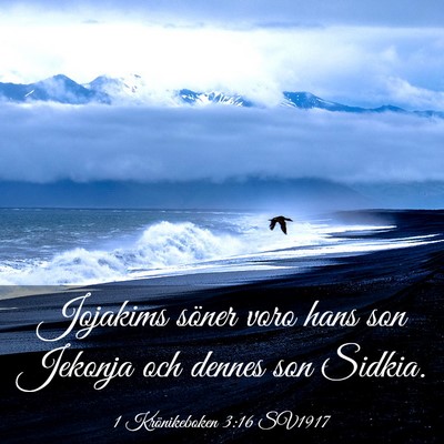 Picture 03 - 1 Krönikeboken 3:16 SV1917 - Jojakims söner voro hans son Jekonja och dennes - Bible Verse Picture