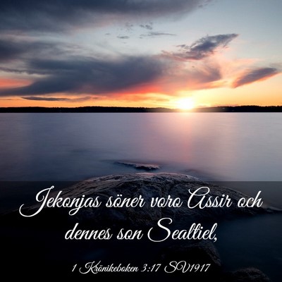 Picture 03 - 1 Krönikeboken 3:17 SV1917 - Jekonjas söner voro Assir och dennes son - Bible Verse Picture