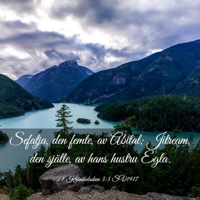 Picture 03 - 1 Krönikeboken 3:3 SV1917 - Sefatja, den femte, av Abital; Jitream, den - Bible Verse Picture