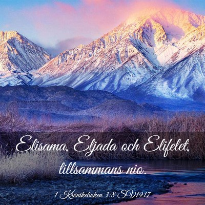 Picture 03 - 1 Krönikeboken 3:8 SV1917 - Elisama, Eljada och Elifelet, tillsammans - Bible Verse Picture