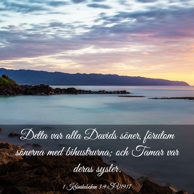 Picture 03 - 1 Krönikeboken 3:9 SV1917 - Detta var alla Davids söner, förutom sönerna - Bible Verse Picture