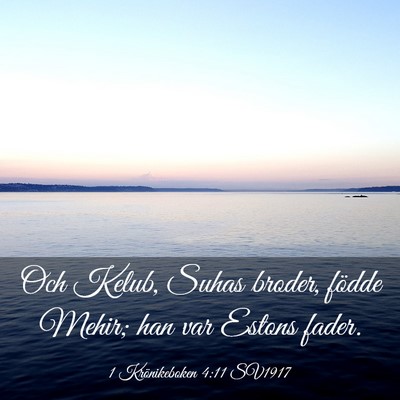 Picture 03 - 1 Krönikeboken 4:11 SV1917 - Och Kelub, Suhas broder, födde Mehir; han var - Bible Verse Picture