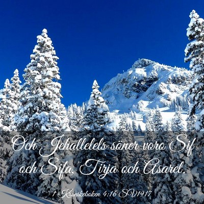 Picture 03 - 1 Krönikeboken 4:16 SV1917 - Och Jehallelels söner voro Sif och Sifa, Tirja - Bible Verse Picture