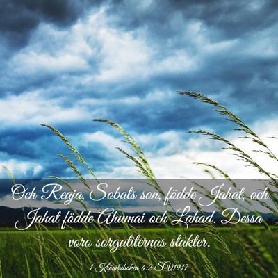 Picture 03 - 1 Krönikeboken 4:2 SV1917 - Och Reaja, Sobals son, födde Jahat, och Jahat - Bible Verse Picture