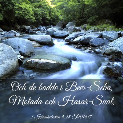 Picture 03 - 1 Krönikeboken 4:28 SV1917 - Och de bodde i Beer-Seba, Molada och - Bible Verse Picture