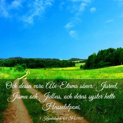 Picture 03 - 1 Krönikeboken 4:3 SV1917 - Och dessa voro Abi-Etams söner: Jisreel, Jisma - Bible Verse Picture