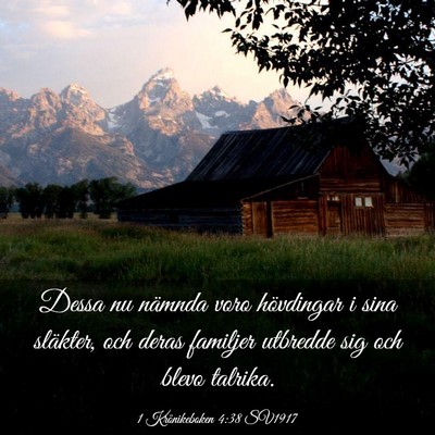 Picture 03 - 1 Krönikeboken 4:38 SV1917 - Dessa nu nämnda voro hövdingar i sina släkter, - Bible Verse Picture