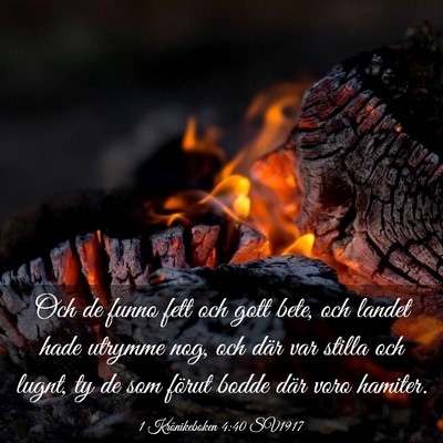 Picture 03 - 1 Krönikeboken 4:40 SV1917 - Och de funno fett och gott bete, och landet hade - Bible Verse Picture