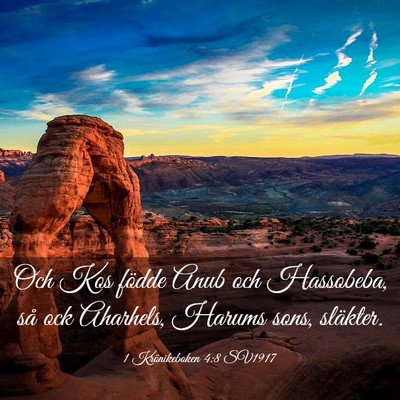 Picture 03 - 1 Krönikeboken 4:8 SV1917 - Och Kos födde Anub och Hassobeba, så ock - Bible Verse Picture