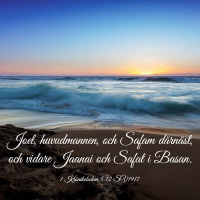 Picture 03 - 1 Krönikeboken 5:12 SV1917 - Joel, huvudmannen, och Safam därnäst, och - Bible Verse Picture