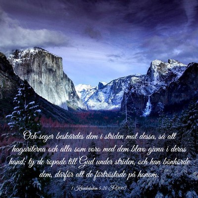 Picture 03 - 1 Krönikeboken 5:20 SV1917 - Och seger beskärdes dem i striden mot dessa, så - Bible Verse Picture
