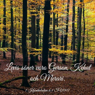 Picture 03 - 1 Krönikeboken 6:1 SV1917 - Levis söner voro Gerson, Kehat och - Bible Verse Picture