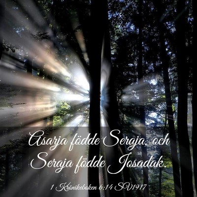 Picture 03 - 1 Krönikeboken 6:14 SV1917 - Asarja födde Seraja, och Seraja födde - Bible Verse Picture