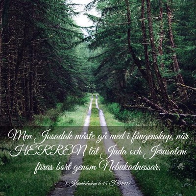 Picture 03 - 1 Krönikeboken 6:15 SV1917 - Men Josadak måste gå med i fångenskap, när - Bible Verse Picture